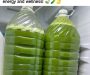 Homemade Fresh Green Juice