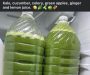 Fresh Green Juice