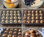 Carnivore Fluffy Blueberry Cottage Cheese Pancake Bites